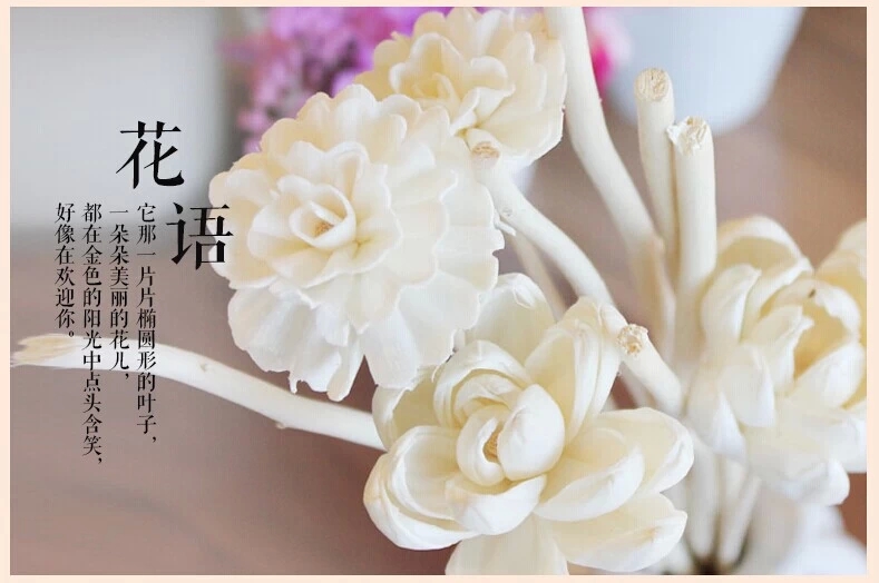 包邮kingking无火香薰精油藤条干花 室内熏香扩香藤干花挥发香薰配件 干花波斯菊