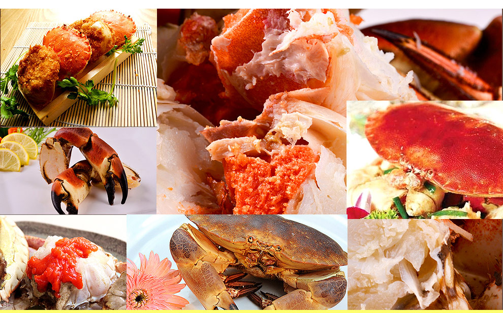 品鲜猫 英国熟冻面包蟹 600g-800g 1只 袋装 海鲜