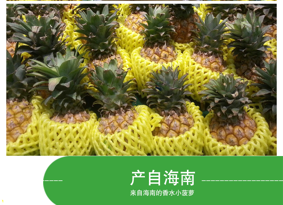 水果/蔬菜 海南三亚凤梨香水小菠萝约4kg6个装_ 8折现价49元