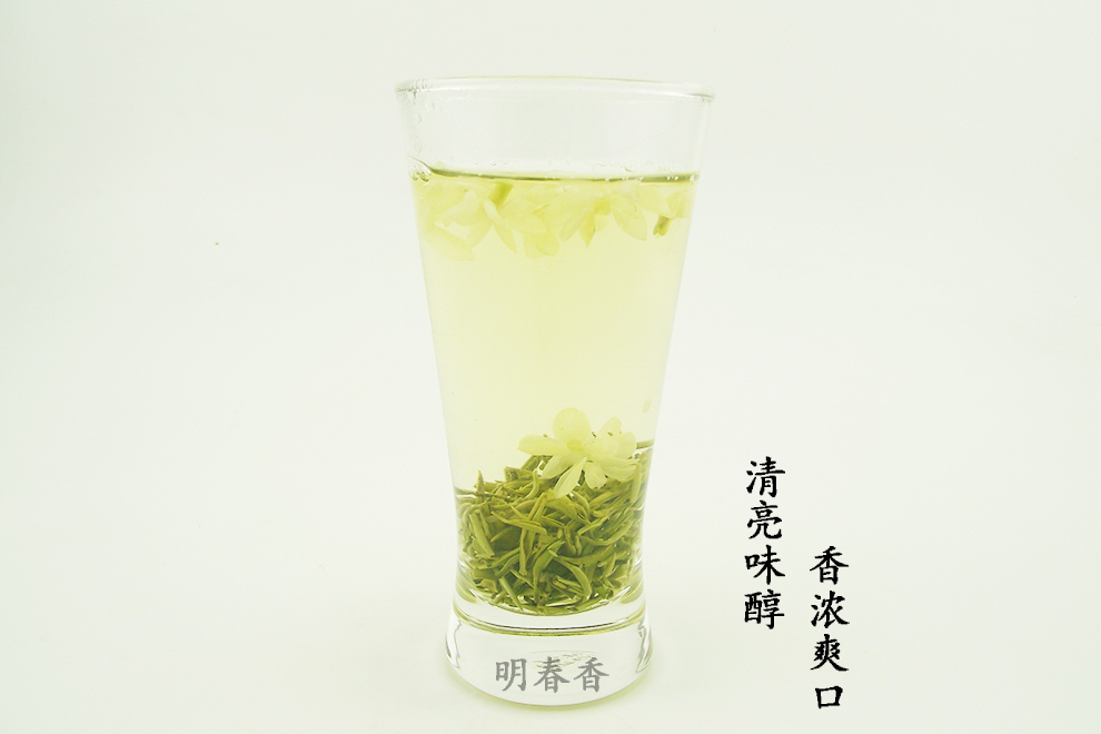 茉莉花茶2017新茶浓香型 明春香飘雪 茉莉花茶叶碧螺春花茶250g罐装