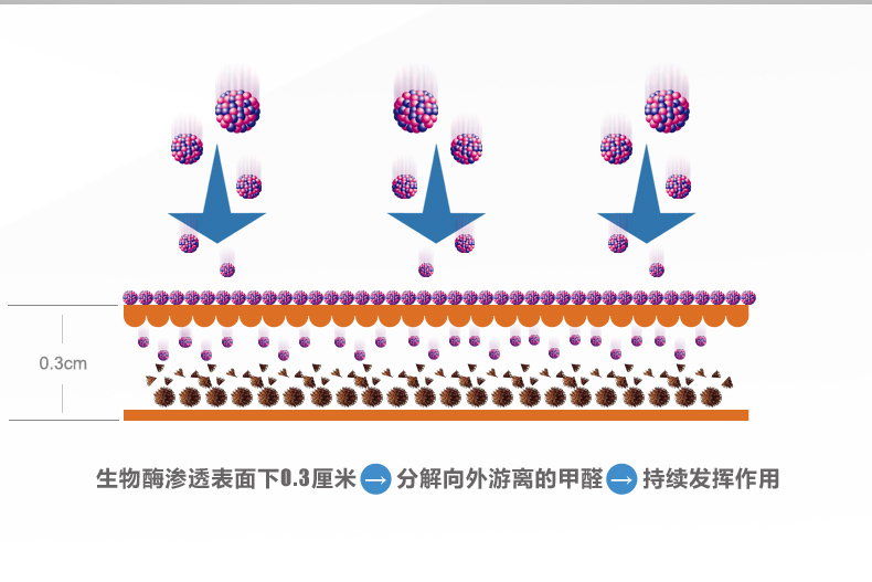 
                                                            德宣 生物酶除甲醛新房装修去味强力型甲醛清除剂喷雾优惠套装                