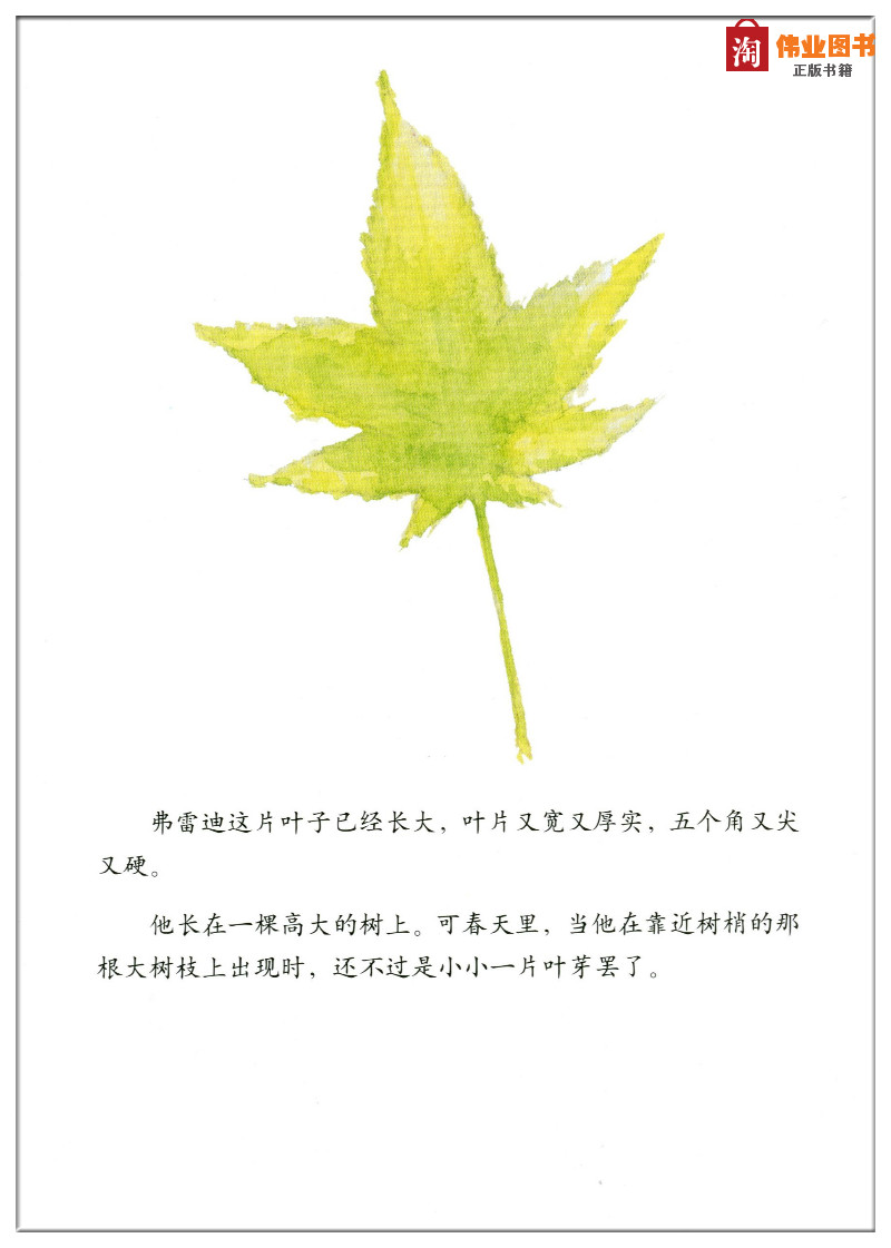 一片叶子落下来 幼儿童宝宝早教子启蒙认知绘本图书 0-1-2-3-4-5-6岁