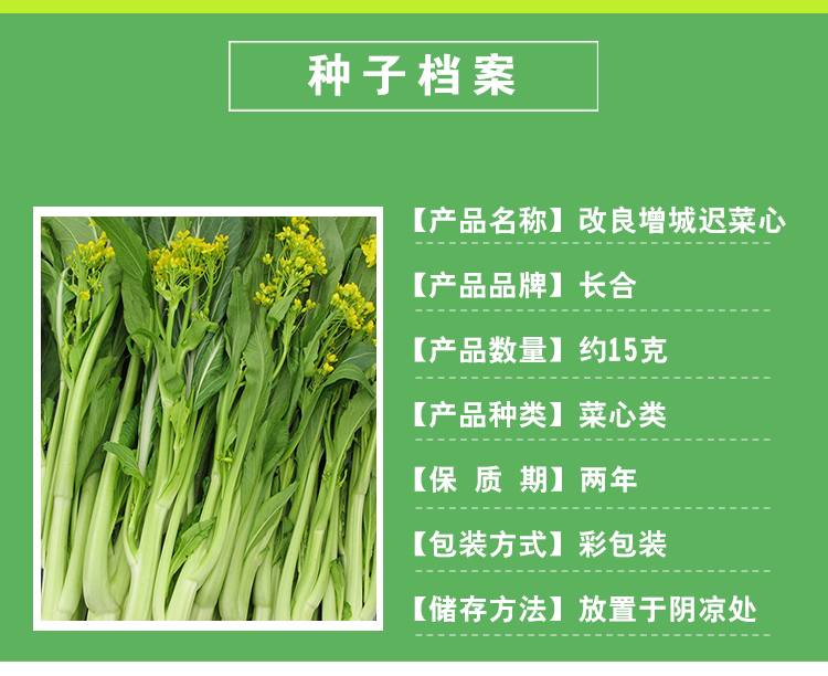 安琪花苑改良增城迟菜心种子青菜菜籽品种春秋冬播种阳台盆栽菜园蔬菜