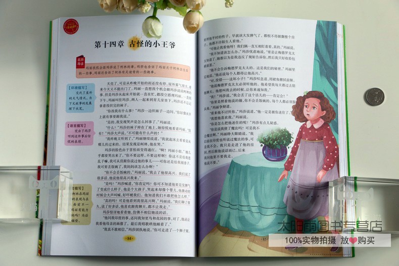 【买3送2】秘密花园正版 儿童书籍 彩图插画 小学生课外必读物经典