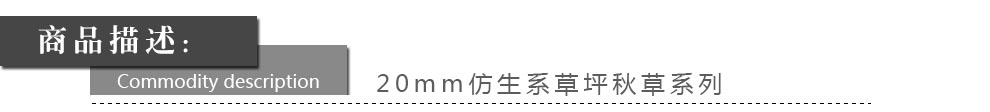 
                                        满铺人造草坪 塑料草皮仿真幼儿园楼顶阳台人工假 地毯地垫 30mm仿生四色秋草/一等品 每平方单价                