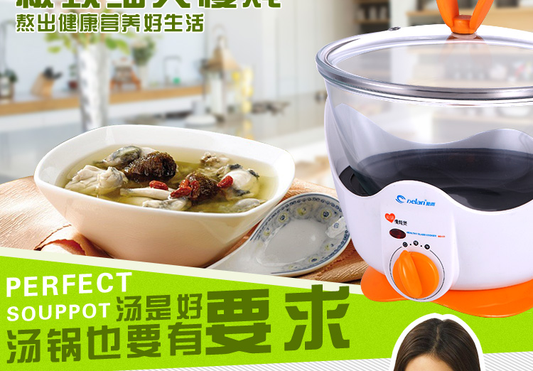德朗DELAN玻璃慢炖锅电炖锅煲汤煲盅煮粥煮药养生汤煲 MD01