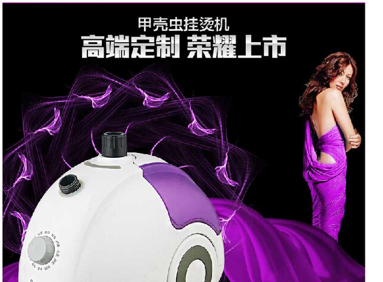 新款高品质家用挂烫机手持立式蒸汽挂烫机电熨斗 白色