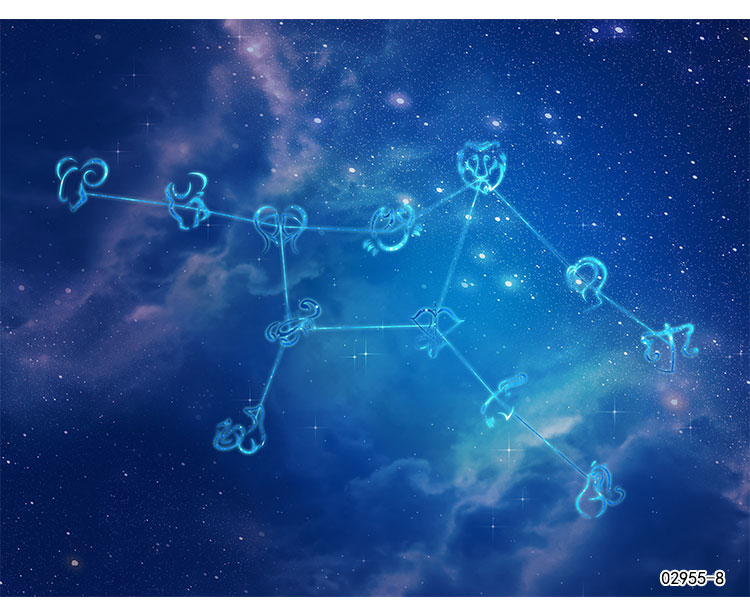 3d大型壁画星空宇宙星云十二星座ktv酒吧包厢天花板墙