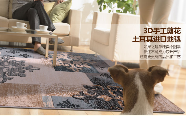 东升地毯 法斯特土耳其进口 现代简约茶几沙发卧室床边床前飘窗大地毯地垫 038A灰 160x230cm