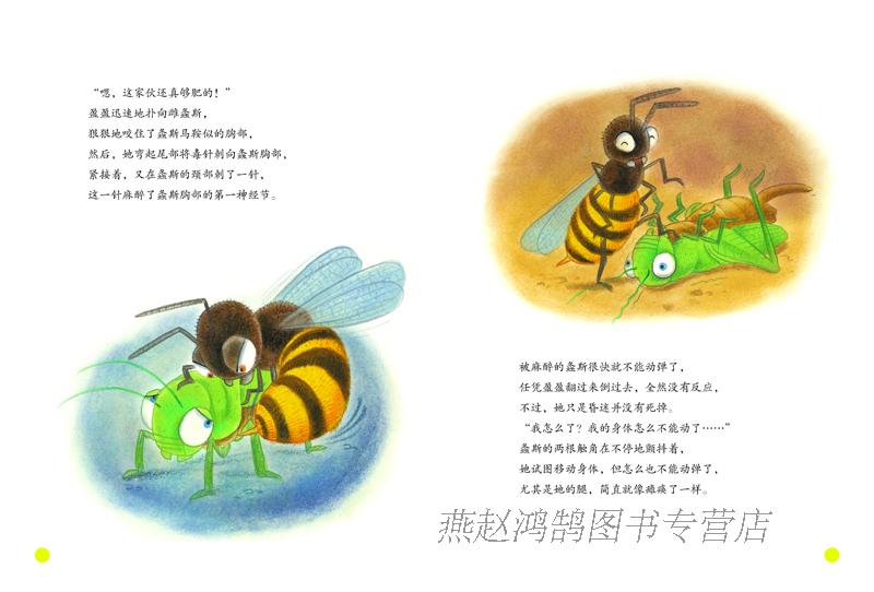 殡葬师——埋葬虫 夏日音乐家——蝉 神奇麻醉师——飞蝗泥蜂 霸王