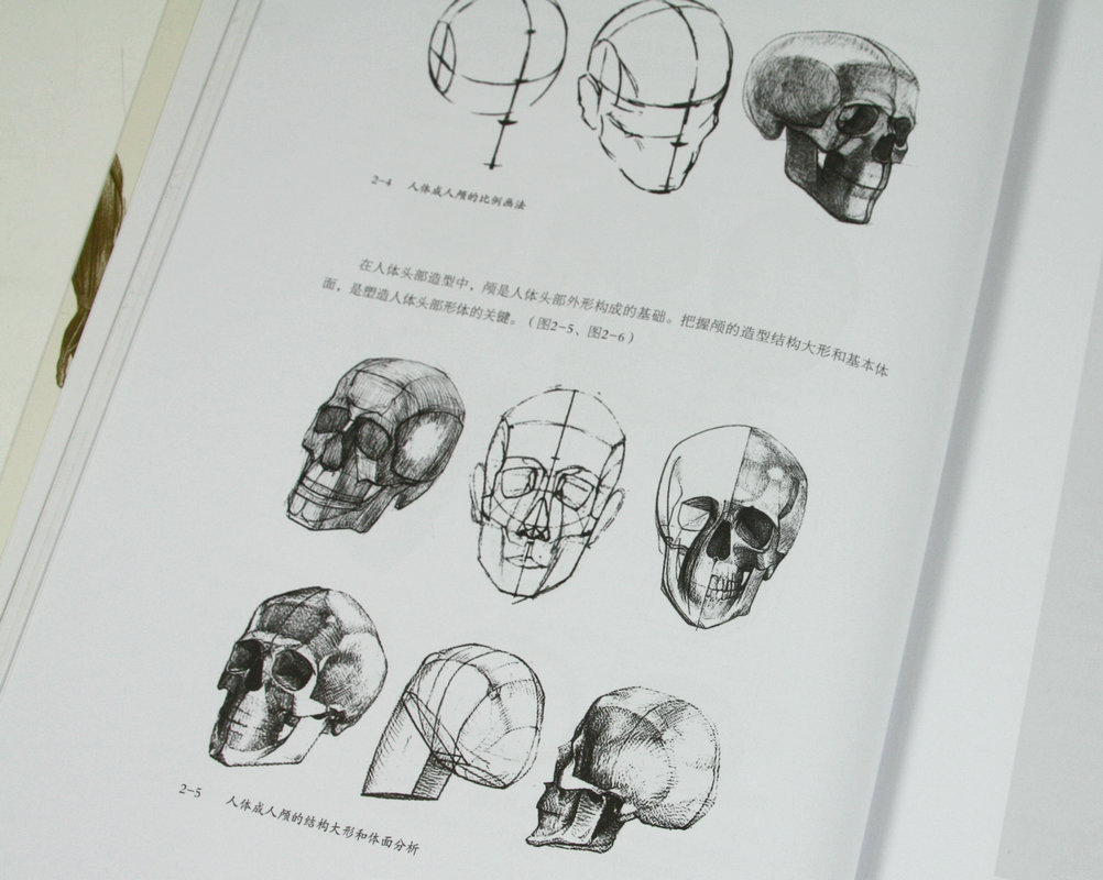 王炳耀著/动态人体解剖大师的人体素描艺用人体结构教学伯里曼学画人