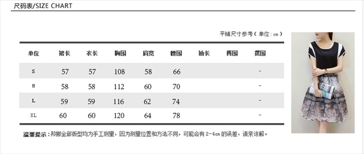 元姬2015新款女装韩版短袖T恤印花欧根纱两件套装裙子连衣裙女潮 图片色 XL