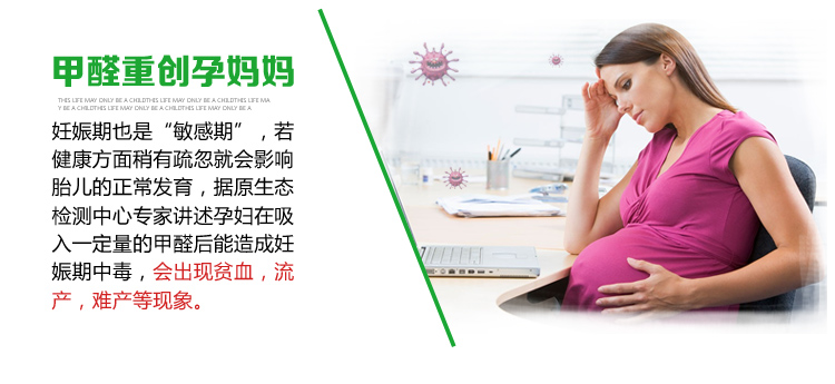 
                                        
                                                            绿驰 4000g升级矿化活性炭包 装修吸去除甲醛清除剂除臭异味竹炭包 家用新房车用除味吸甲醛防潮碳包非干燥剂                