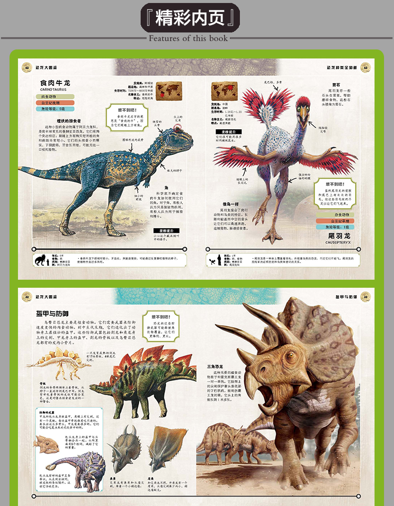 正版|恐龙大图鉴:驯龙高手指南 恐龙王国世界奇观百科大全彩绘绘 3-6