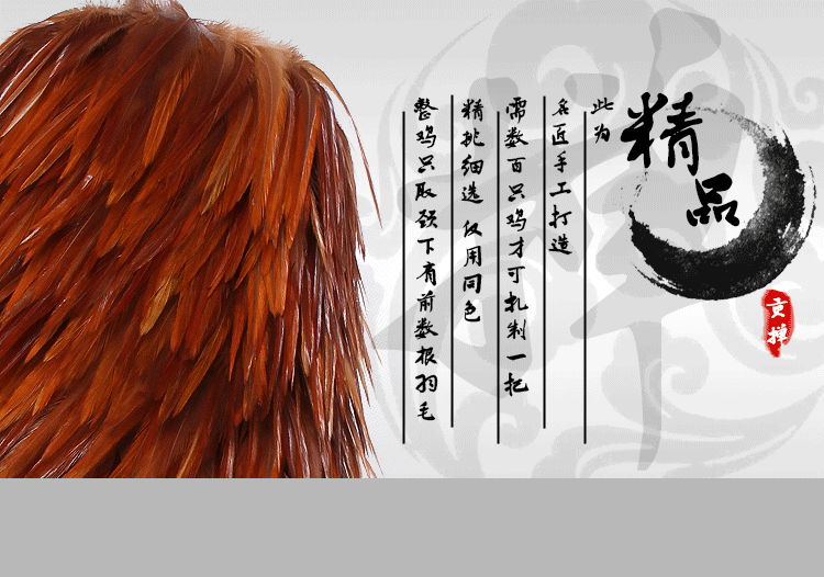 
                                        华居尚品 鸡毛掸子 贡掸 除尘家用掸子 家具家居摆件 悟掸黄棕色(长72cm檀木柄)                