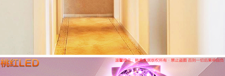 合丰 LED进口贴片过道灯玄关灯阳台灯走廊灯水晶灯吸顶灯门厅灯入户灯现代时尚梦幻花朵灯 LED3W+紫红辅光 暗装
