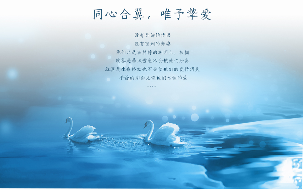 铂爵皇瓷 结婚礼物情侣天鹅陶瓷摆件家居装饰品客厅摆件现代简约