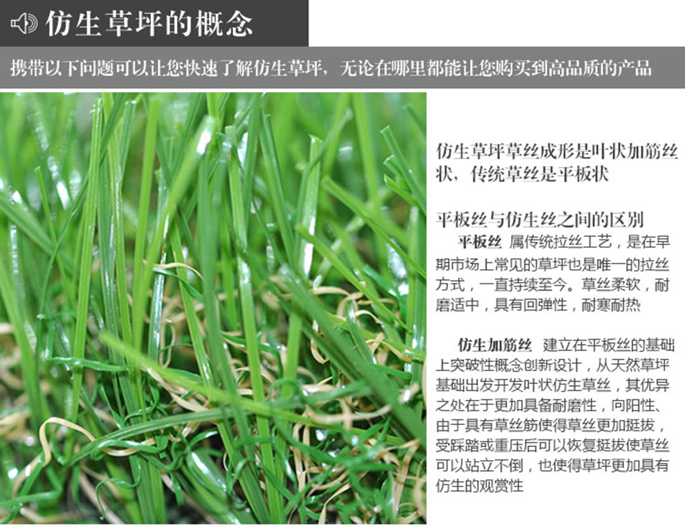 
                                        满铺人造草坪 塑料草皮仿真幼儿园楼顶阳台人工假 地毯地垫 30mm仿生四色秋草/一等品 每平方单价                