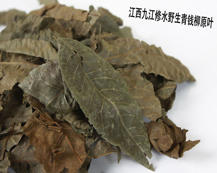 青钱柳 修水古树野生青钱柳原叶茶清金钱柳茶 500g_ 6