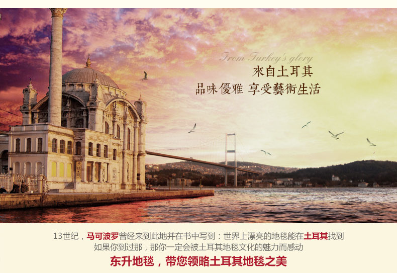 东升地毯 法斯特土耳其进口 现代简约茶几沙发卧室床边床前飘窗大地毯地垫 038A灰 160x230cm