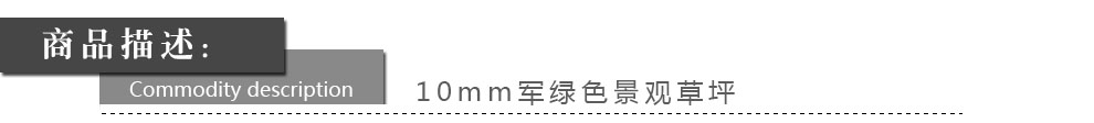 
                                        满铺人造草坪 塑料草皮仿真幼儿园楼顶阳台人工假 地毯地垫 30mm仿生四色秋草/一等品 每平方单价                