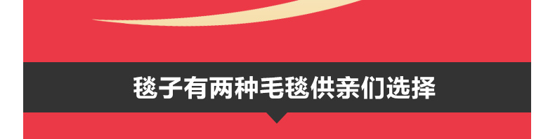 
                                        玉沙家纺毛毯加厚珊瑚绒毯子冬季毛巾被法兰绒毛毯盖毯 六色条纹 150cmX200cm(单层)                