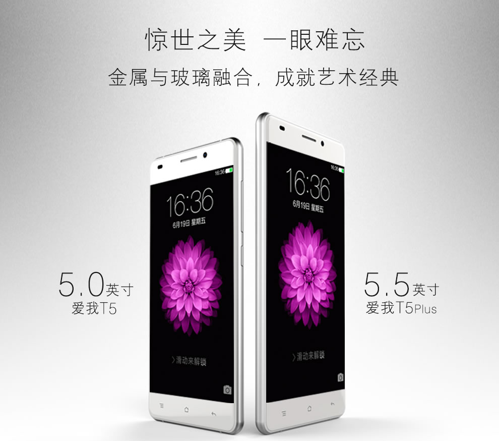 爱我（LOVME）魅影T5 Plus 移动4G智能手机 蓝宝石金属版 双卡双待 铂光金