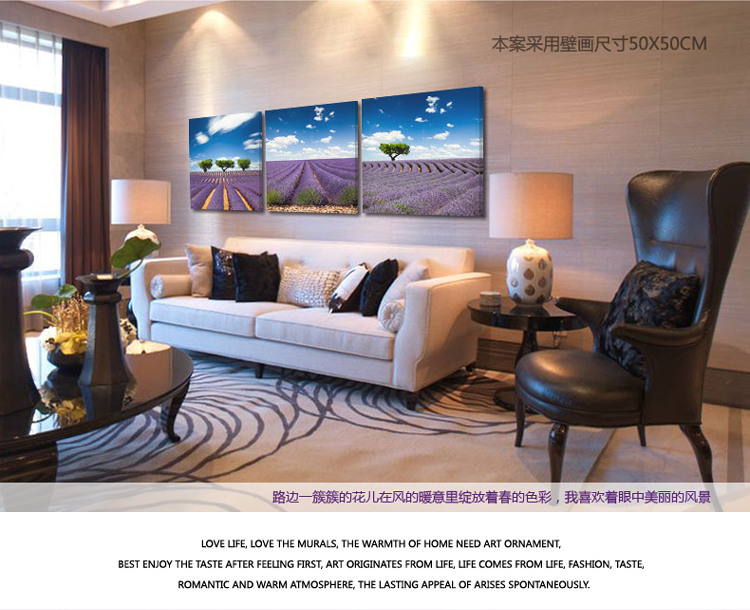 
                                        必画 中画家居 现代薰衣草花海无框画三联墙面装饰画客厅挂画床头画 一套三幅 9mm厚50*50cm 布纹膜                