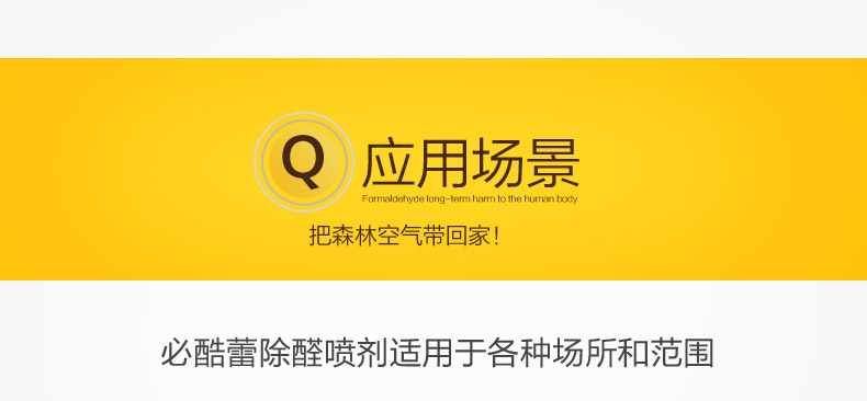 必酷蕾 甲醛清除剂套装 强力型光触媒去除甲醛捕捉净化剂新房装修除味喷剂