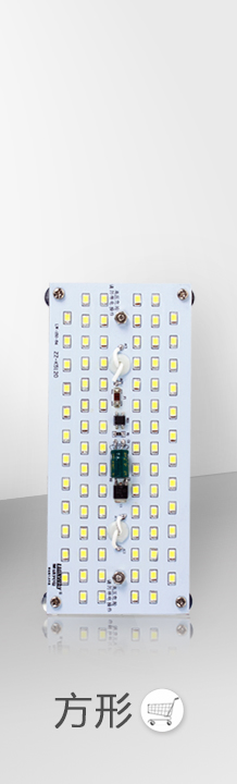 
                                                            莱维（lionway） LED吸顶灯改造灯板led灯板长条灯泡吸顶灯节能灯改造led灯板 10瓦/方形 正白                