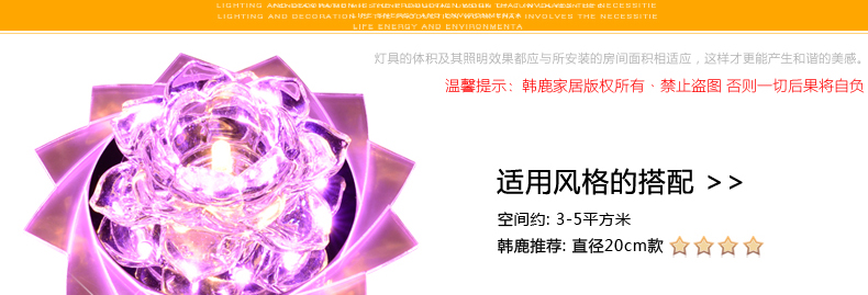 合丰 LED进口贴片过道灯玄关灯阳台灯走廊灯水晶灯吸顶灯门厅灯入户灯现代时尚梦幻花朵灯 LED3W+紫红辅光 暗装