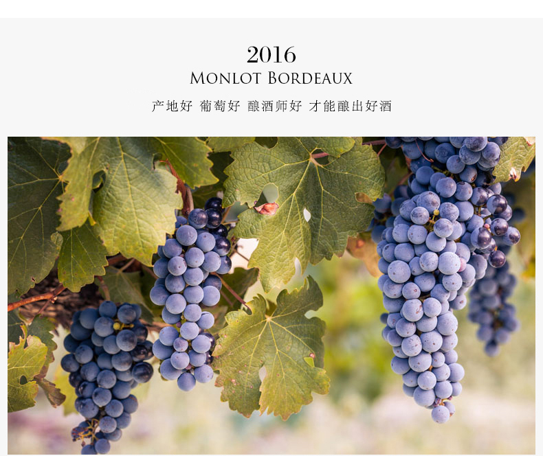 法国原装进口拉斐品酒师93干红葡萄酒 13.5度