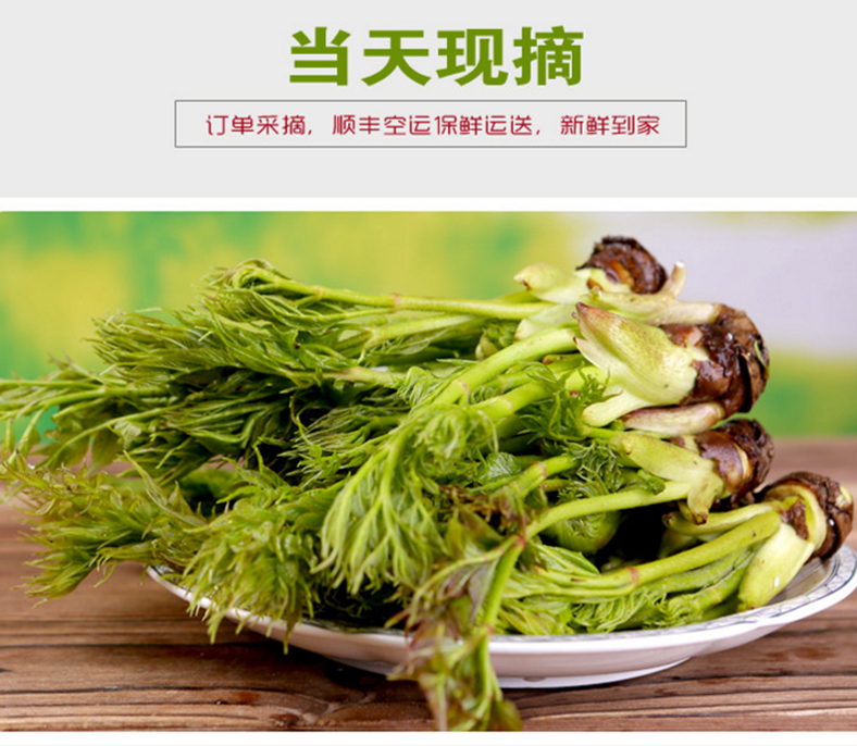 东北特产山野菜刺嫩芽刺龙芽刺老芽菜500g