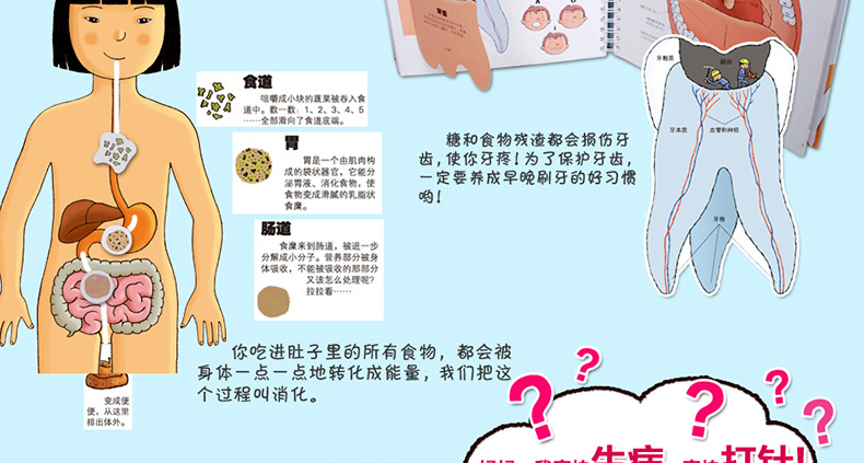正版乐乐趣我们的身体绘本儿童3d立体书幼儿性教育揭秘翻翻书3-6-9-12