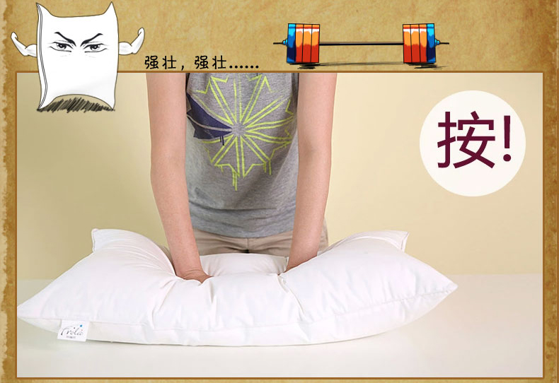 
                                        菲罗菈（Frola）全棉枕头 羽丝绒枕芯 一对（两只装）全棉舒适枕头 48*74cm两只装                