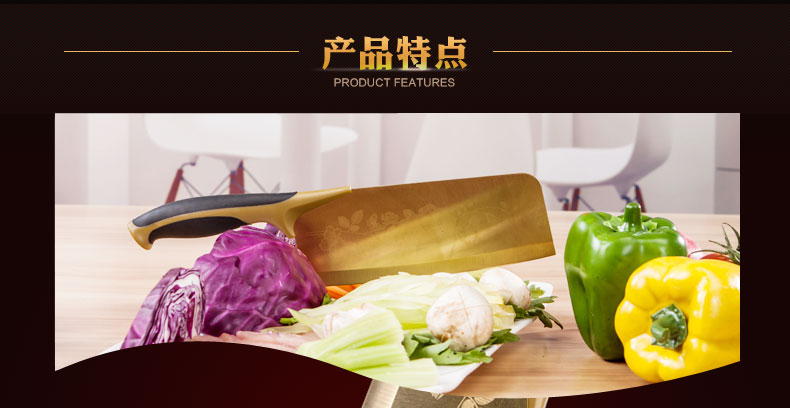 龙之艺 不锈钢刀具蔷薇钛金刀切片菜刀多用刀五件套装 L666