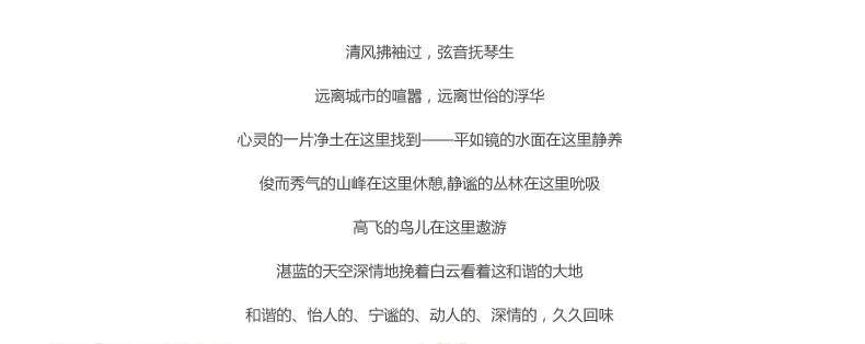 
                                                            维优净MAYCI无火香薰精油套装200ML室内香薰藤条香薰套装房间香水室内装饰摆件 薰衣草                