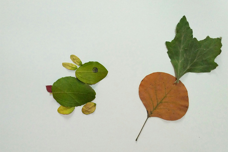 叶画树叶粘贴画植物标本金鱼蝴蝶真叶子作画幼儿园学生手工塑封膜图片