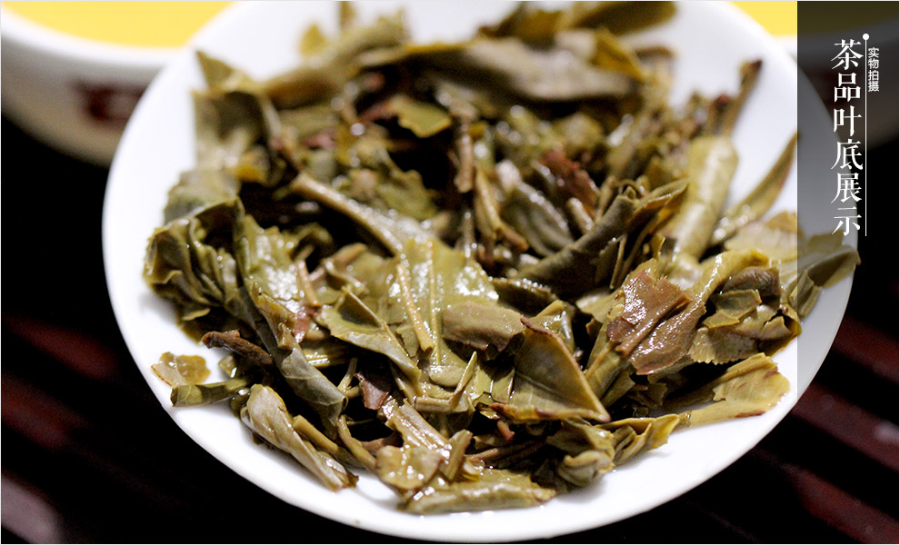 大益 云南 普洱茶 13年 301批 茉莉青饼 生茶 357g/饼——叶底