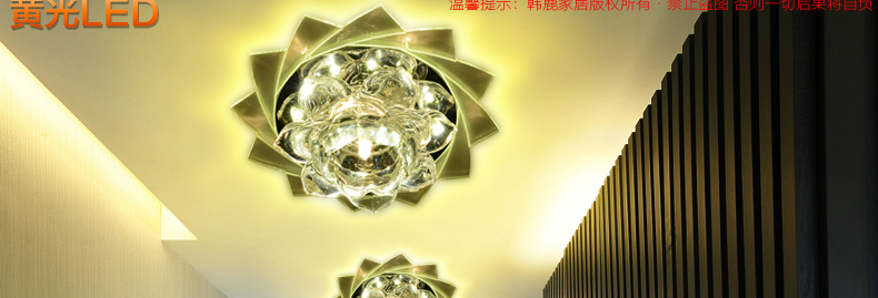 合丰 LED进口贴片过道灯玄关灯阳台灯走廊灯水晶灯吸顶灯门厅灯入户灯现代时尚梦幻花朵灯 LED3W+紫红辅光 暗装
