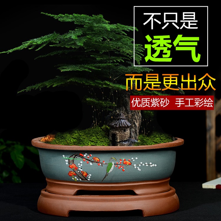 逍遥精品紫砂花盆椭圆形盆景盆腰圆盆室内花卉绿植盆陶瓷花盆兰花盆栽