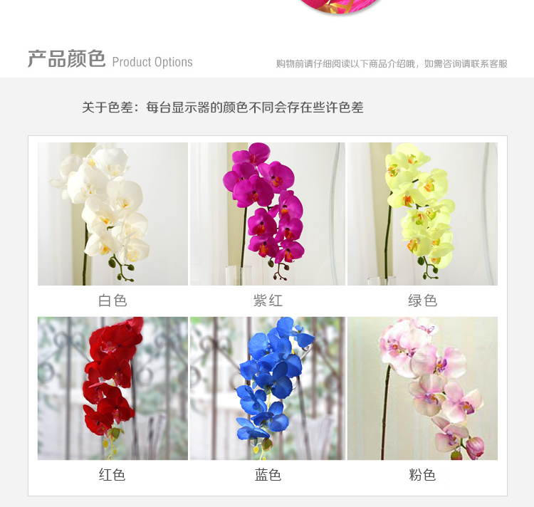 
                                        畅宁 高仿真花蝴蝶兰 5束（不含瓶）假花绢花 家居装饰 客厅摆件 (紫色) 纯色                