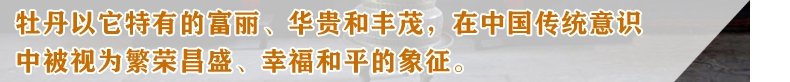 梦雅莉 印花十字绣天香纳福 十字绣牡丹花花开富贵图客厅风景2米图 9CT大格-四股绣-丝线款233*84cm