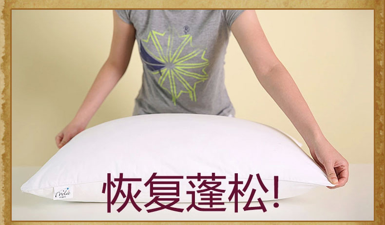 
                                        菲罗菈（Frola）全棉枕头 羽丝绒枕芯 一对（两只装）全棉舒适枕头 48*74cm两只装                