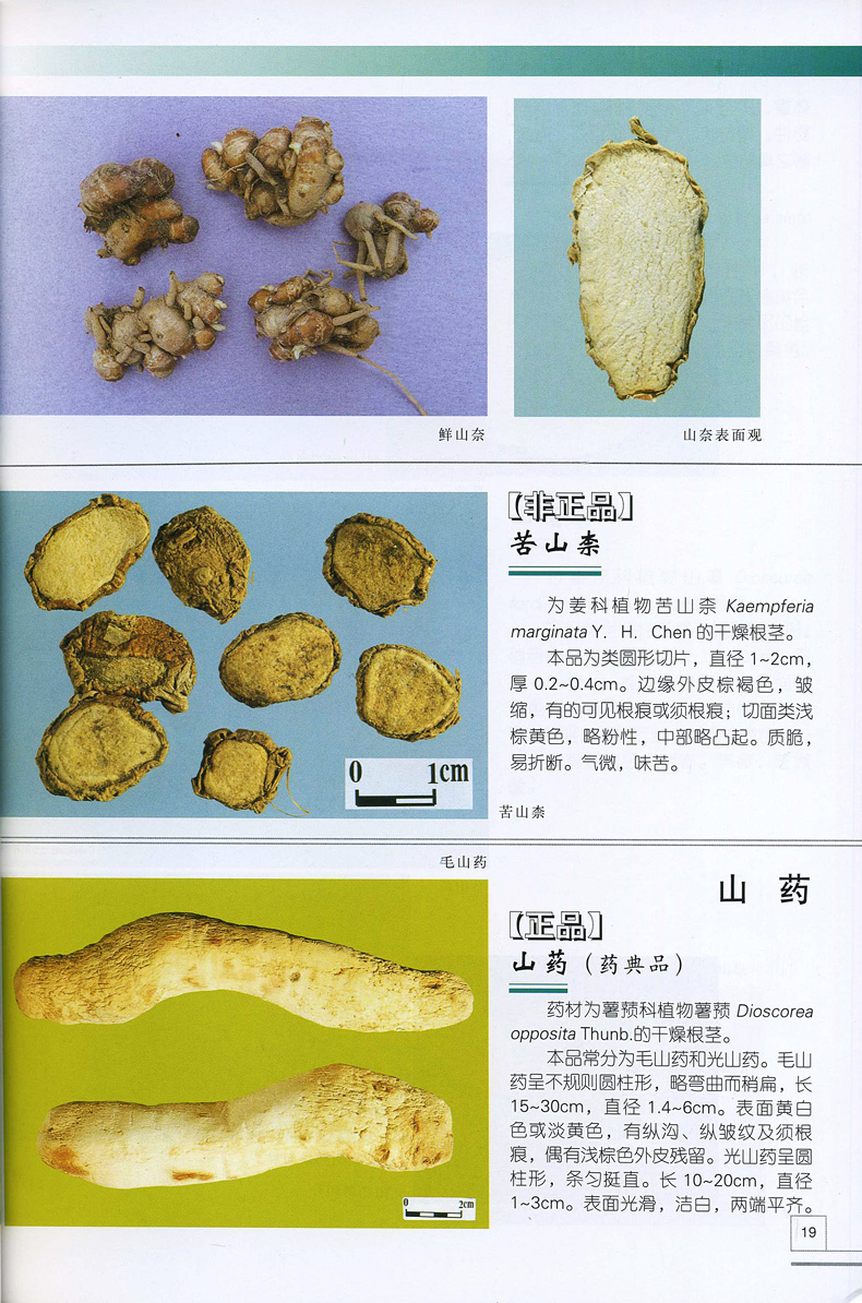 5y正版 中国中药材真伪鉴别图典 (套装) 彩色典藏版 中草药盒装珍藏版