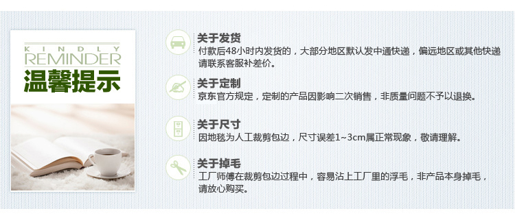 小冰人 雪尼尔地垫 卧室房间床边浴室厨房地毯门垫脚垫 加厚定制 果绿 定制 每平方90元 需联系客服 单拍不发货