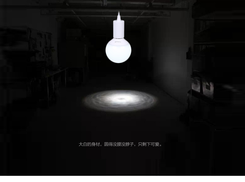 立莱 led灯泡e27大螺口球形护眼大球泡大功率节能灯具 19W 白光