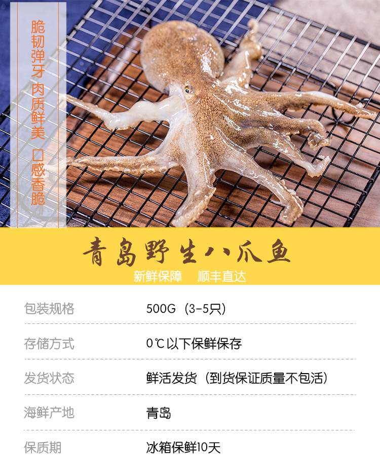 森珍绿业 鲜活八爪鱼 1000g 6-9只 章鱼火锅食材 海鲜