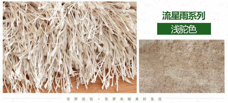 东升地毯 流星雨加厚8厘米 客厅地毯茶几沙发卧室床前床边飘窗大地毯 浅驼色 200x300cm