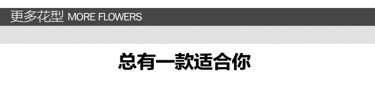 
                                                                                雅瑞思家纺 全棉斜纹被套单件 纯棉加大单双人床被罩 苏格兰 160cm*210cm                